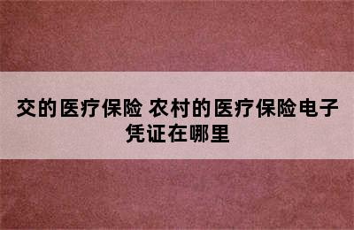 交的医疗保险 农村的医疗保险电子凭证在哪里